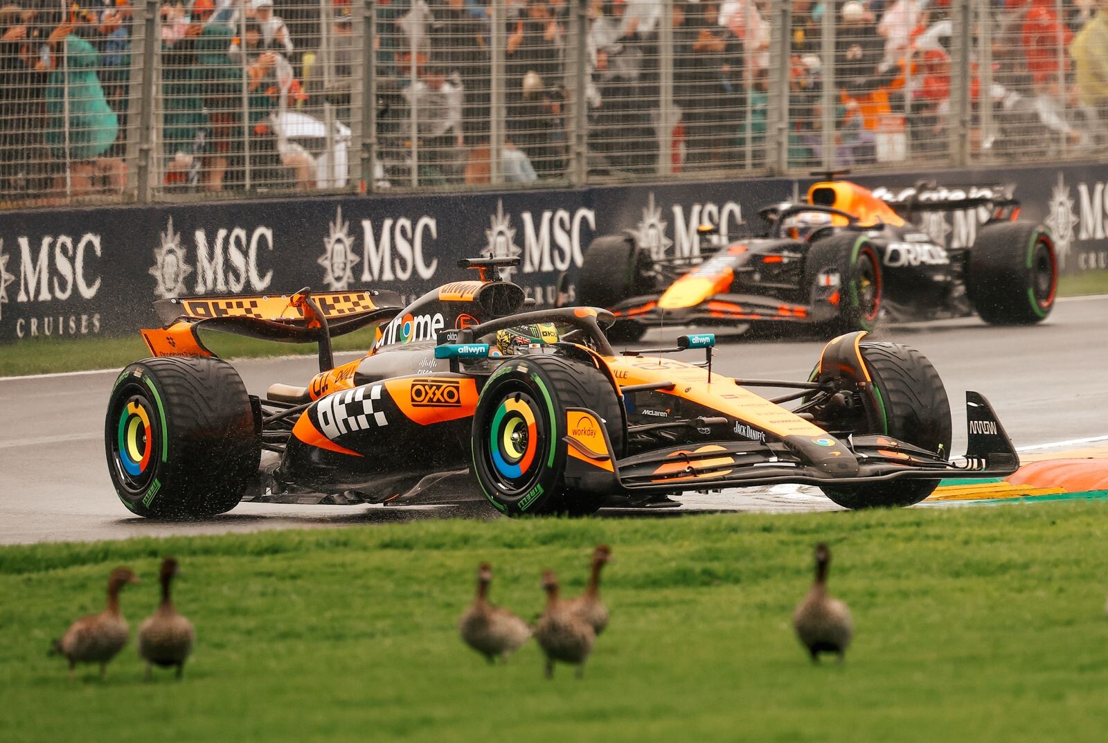 mclaren red bull australie