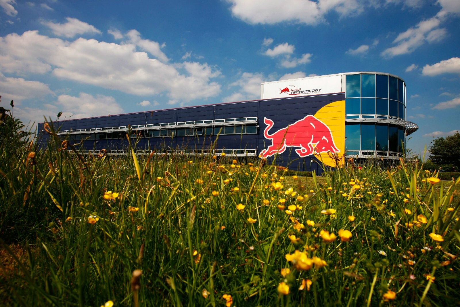 red_bull