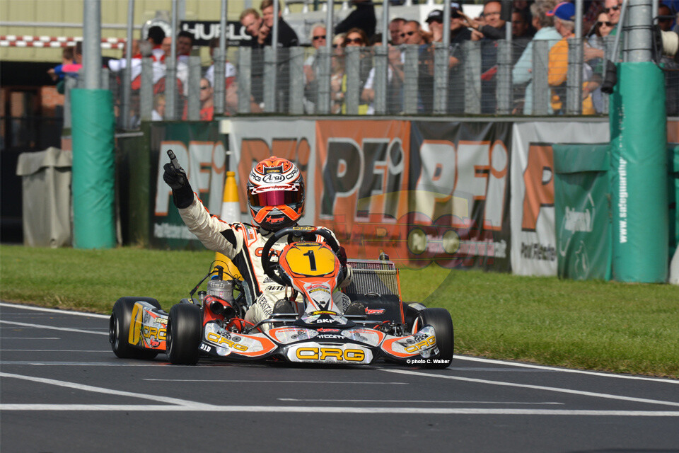 Max Verstappen, kart