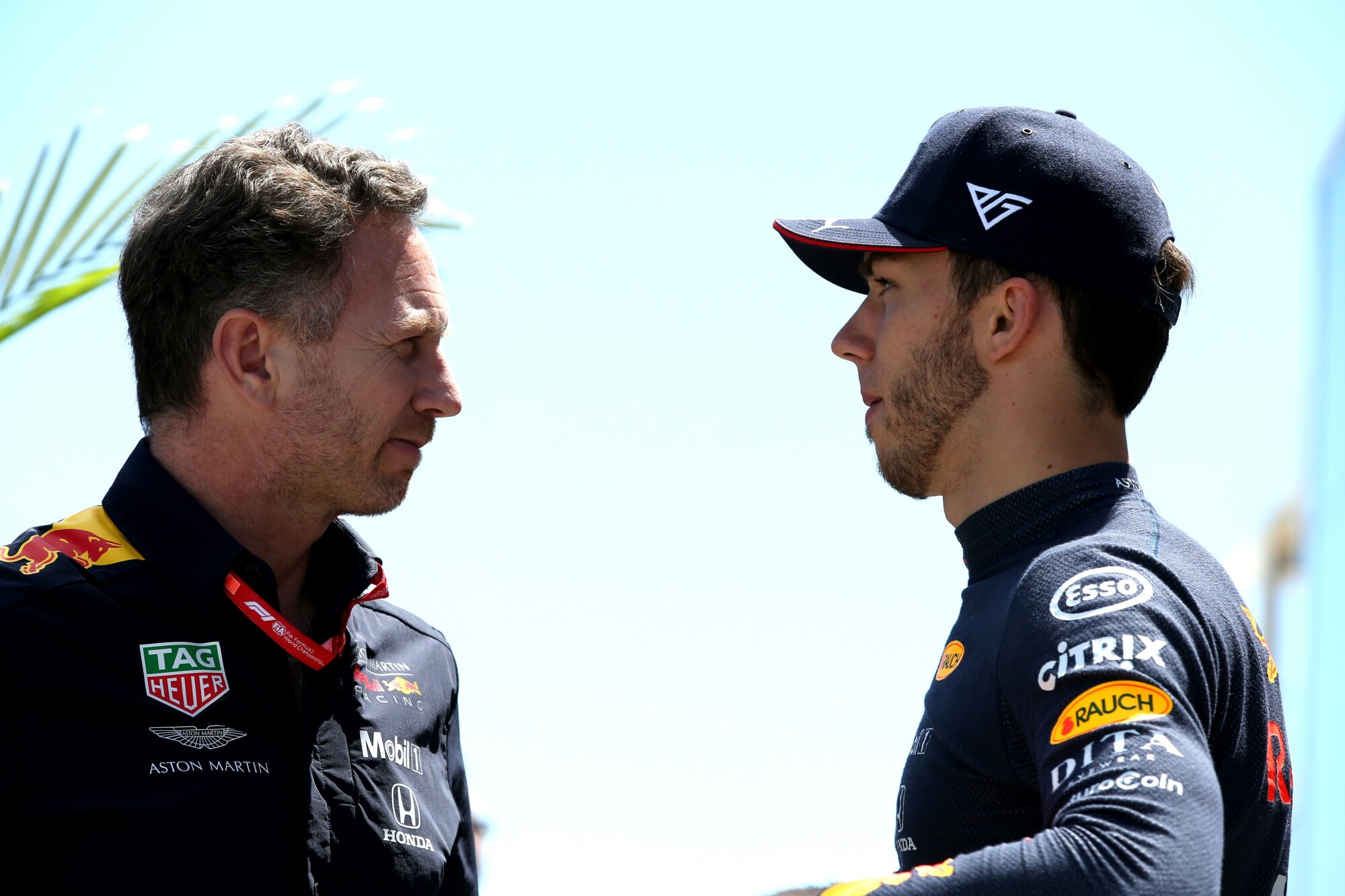 Horner-Gasly