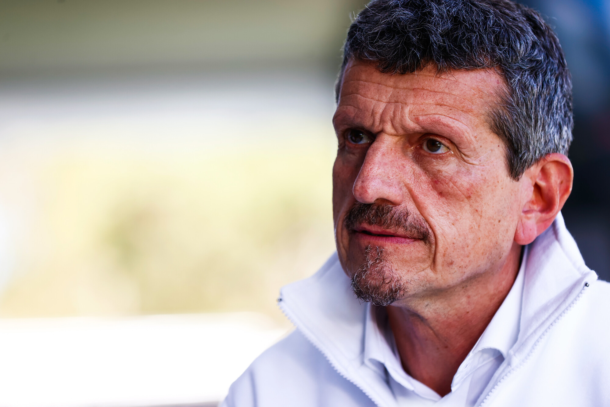 Günther Steiner Haas