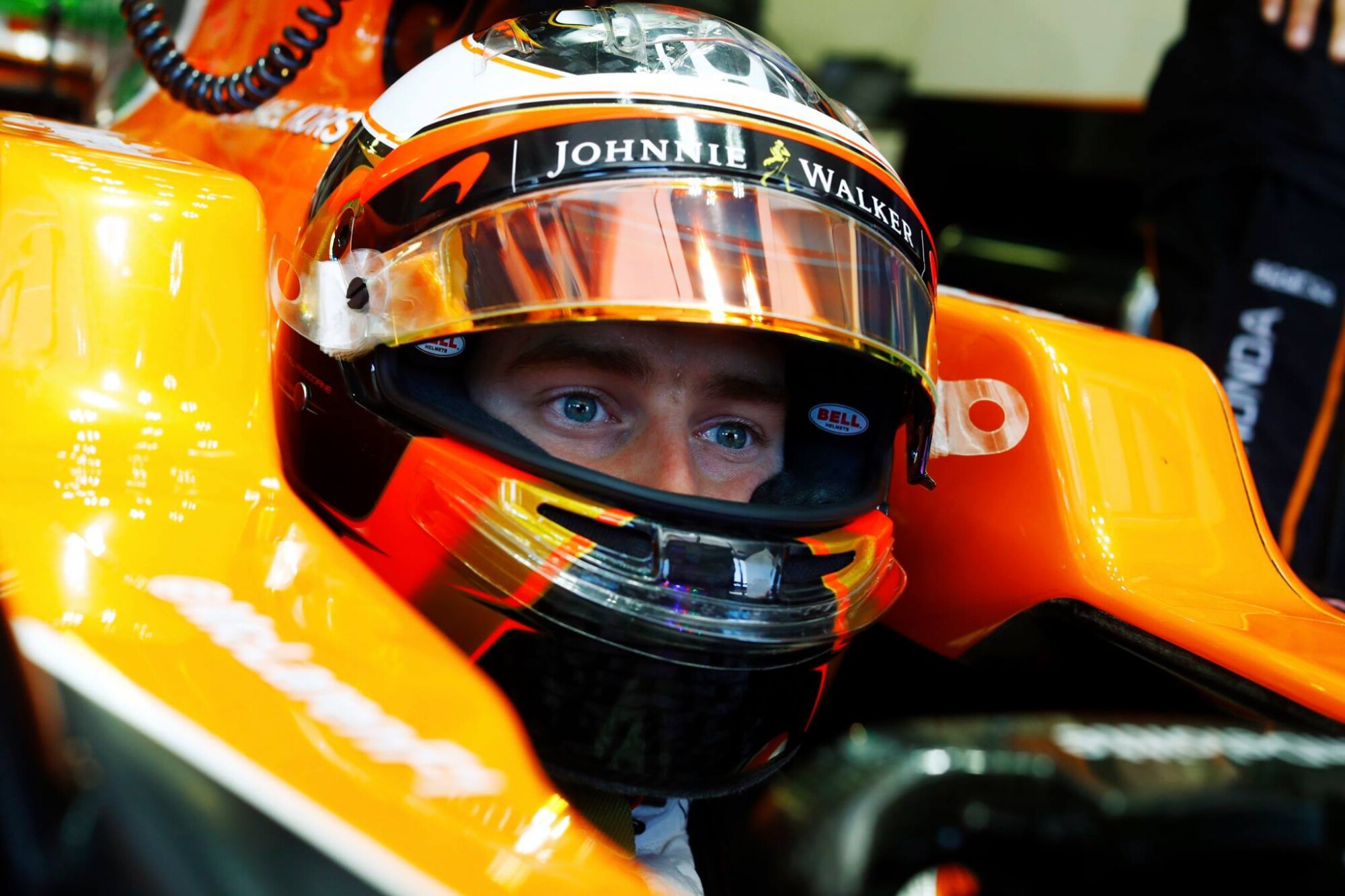 20988984_10155414520011413_3241535682436832255_o