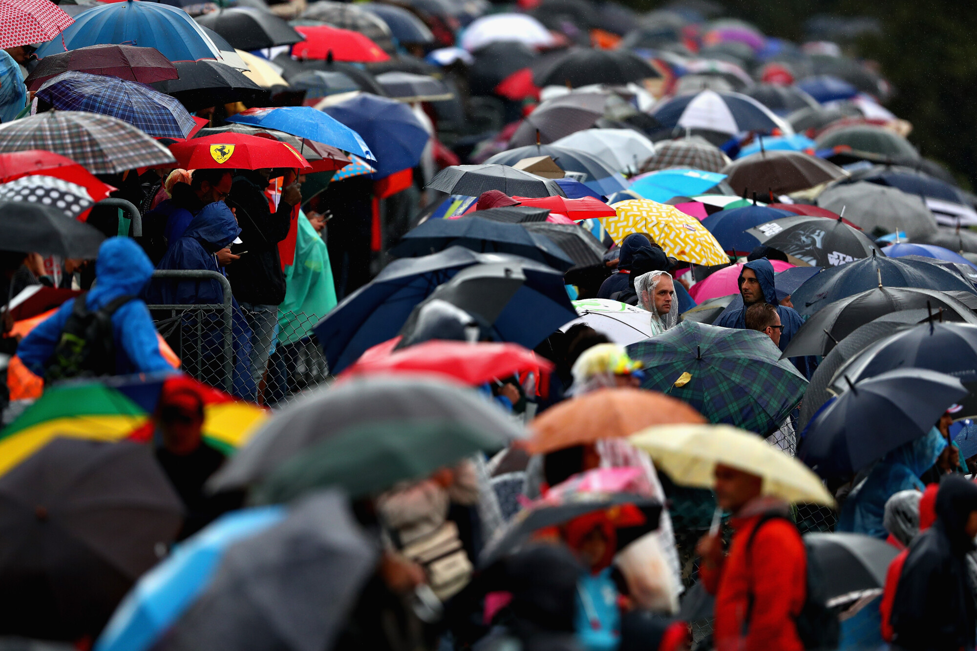 fans paraplu's regen