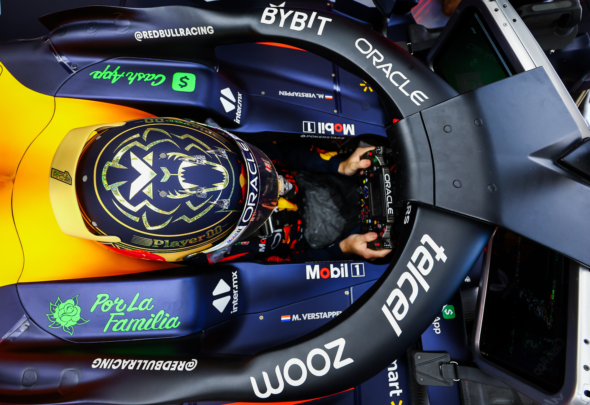 Max Verstappen stuur