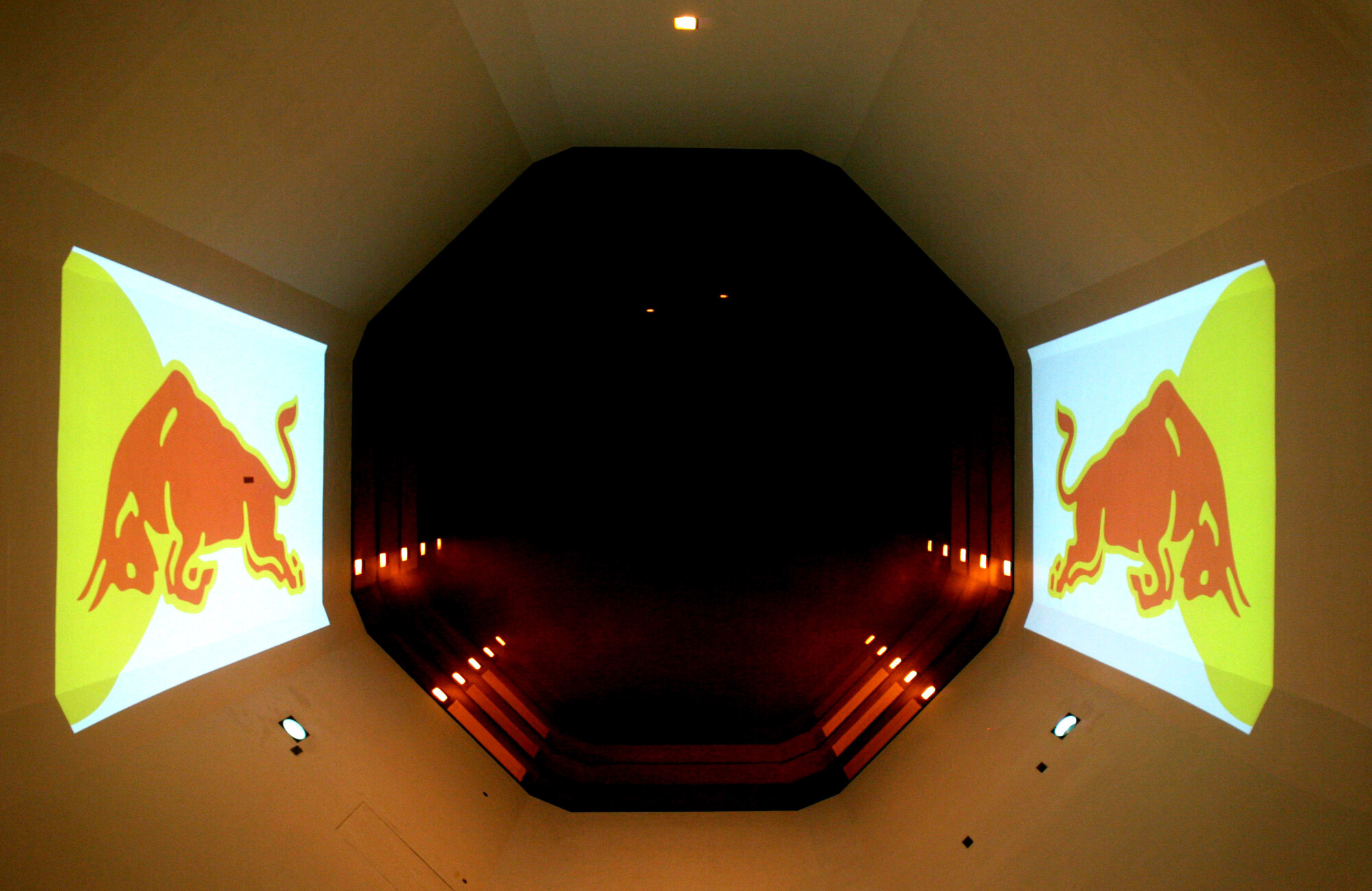 Red Bull windtunnel 2014