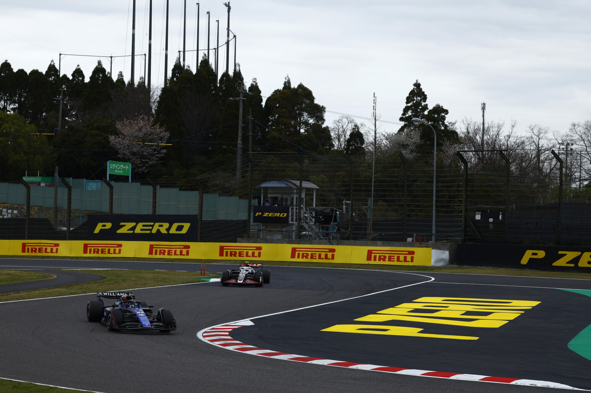 Alexander Albon- Japan - Suzuka - 2024